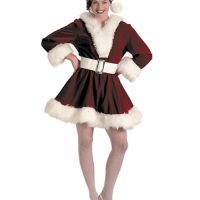 Perky Pixie Christmas Dress (Rental)