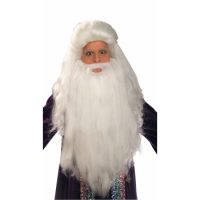 Sorcerer Wig & Beard Set