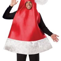 Santa Hat Costume